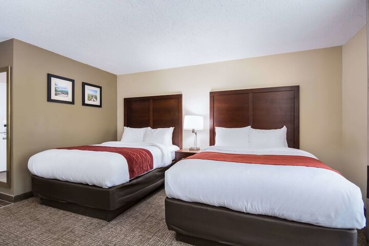 Double Accessible King Size Bed (6 of 7)