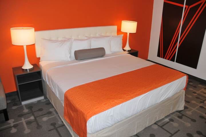 1 King Bed Mobility Accessible (13 of 13)