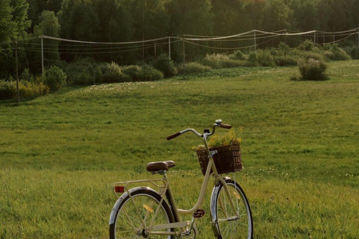 Outdoor Activities 53 of 80