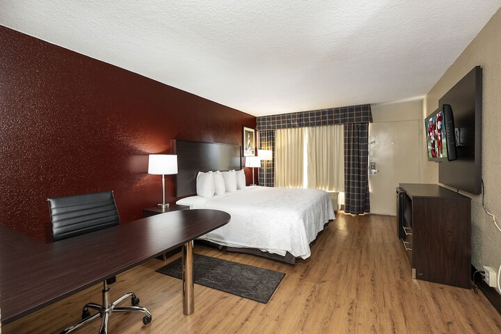 Standard | King Bed (10 of 17)