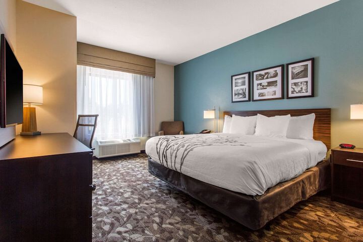 1 King Bed (17 of 17)