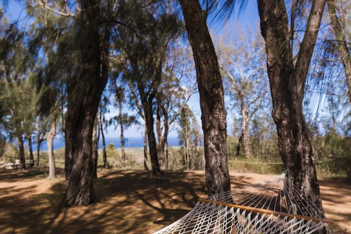 Hotel Exterior 77 of 82