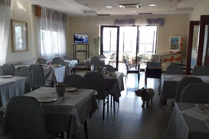 Dining 20 of 44