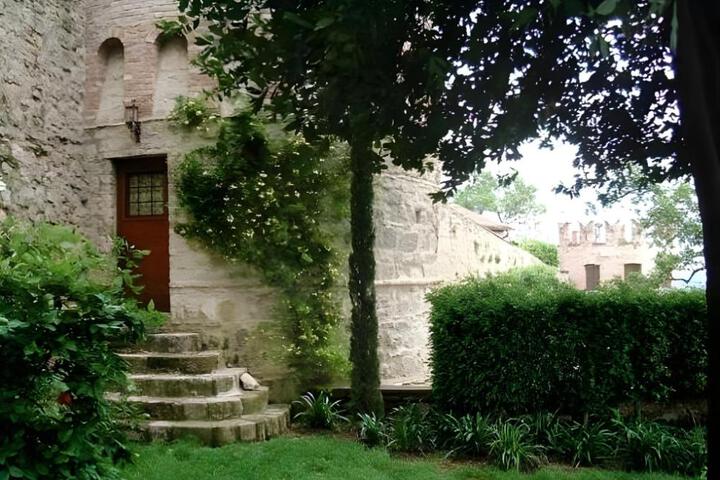 Photo 7