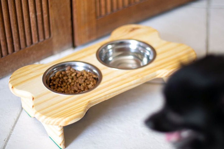 Pet-friendly amenities