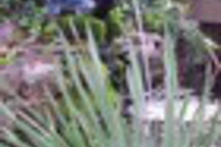 Hotel Exterior 104 of 111
