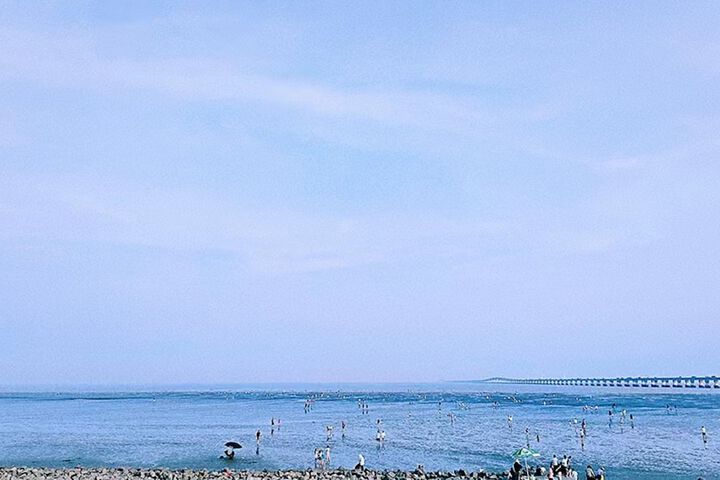 Beach 80 of 104