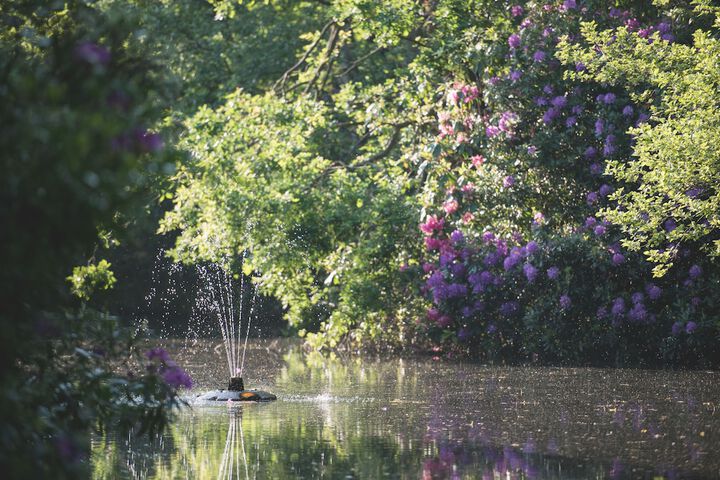 Property Grounds 73 of 74