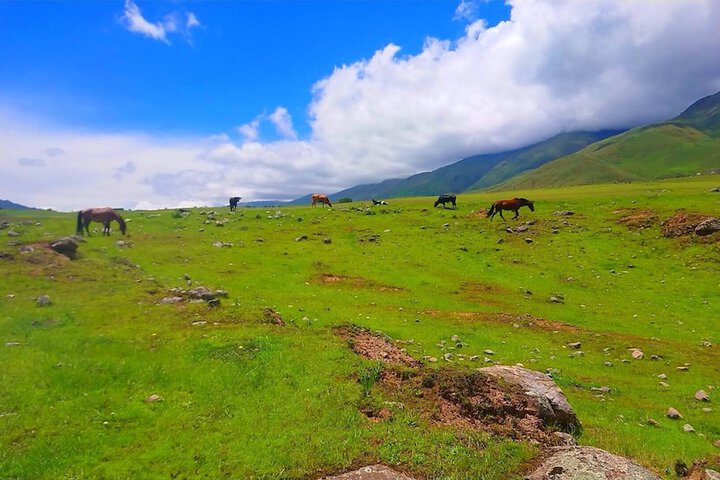 Outdoor Activities 13 of 24