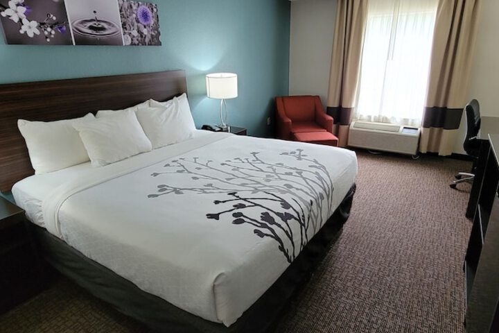 1 King Bed | (10 of 12)