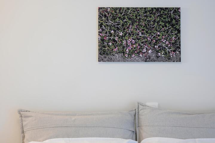 Room 15 of 125