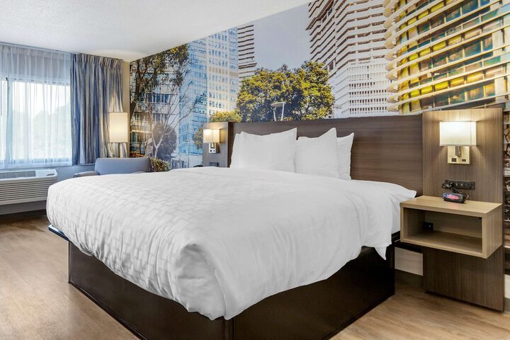 Standard King Bed Accessible (10 of 14)