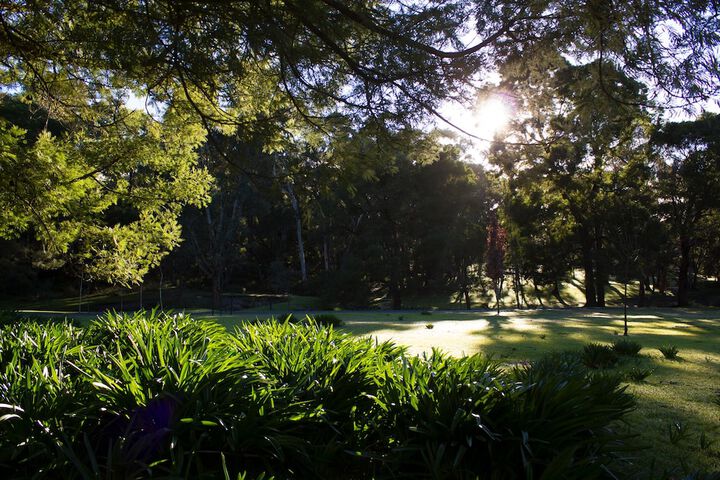 Property Grounds 20 of 36