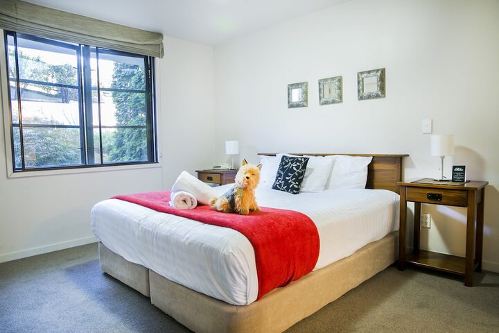 Room 5 of 254