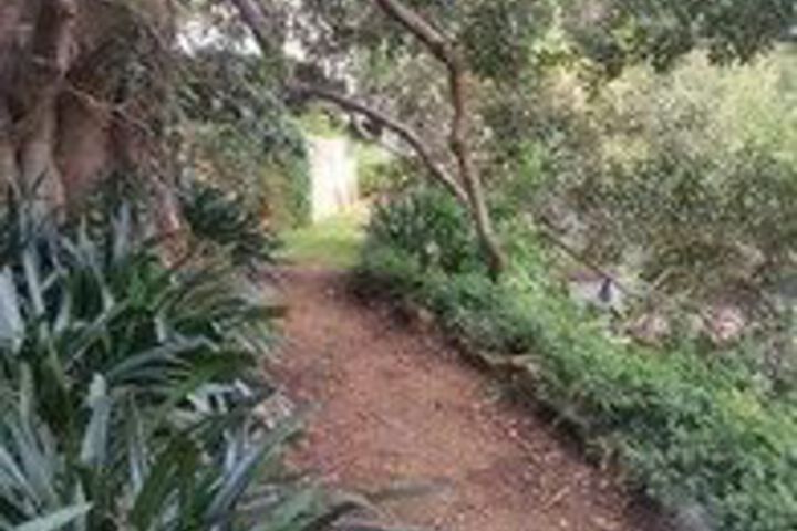 Property Grounds 59 of 60