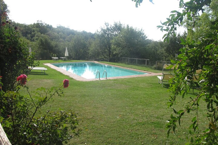 Pool 17 of 58