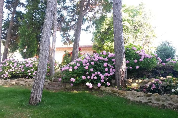 Property Grounds 80 of 108