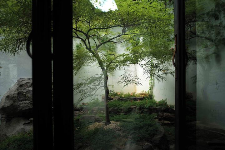 Room 51 of 128