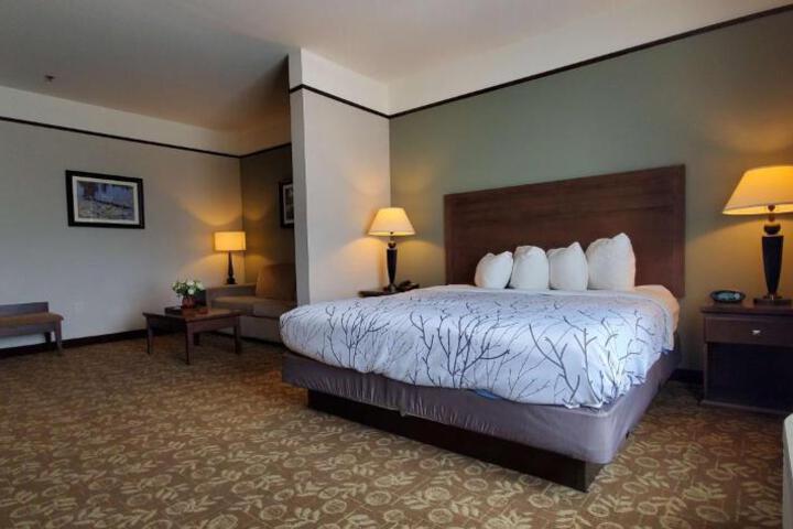 1 King Bed (2 of 13)
