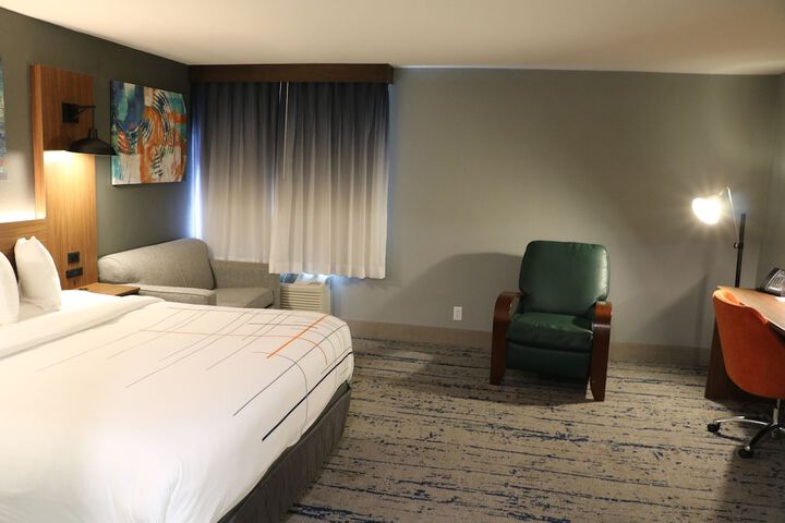 1 King Bed (10 of 22)