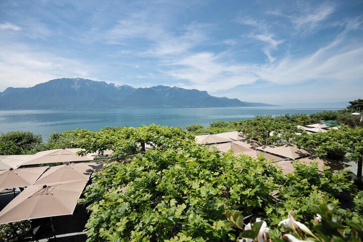 Terrace/Patio 42 of 101