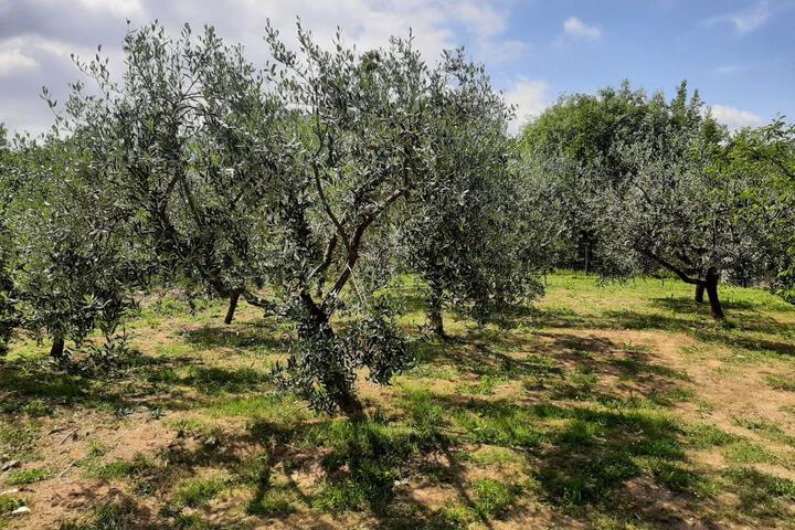 La casetta di Bianca