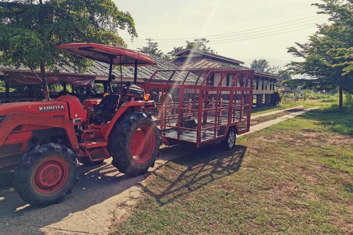 Spa and Wellness Pictures