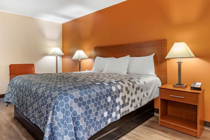 1 King Bed (4 of 7)
