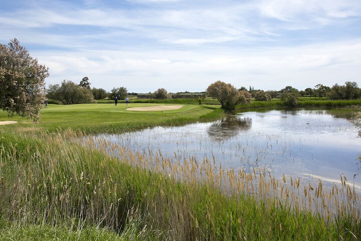 Golf 29 of 44