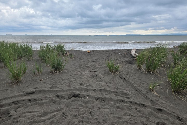 Beach 37 of 40
