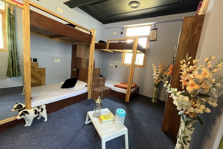 Room 27 of 49