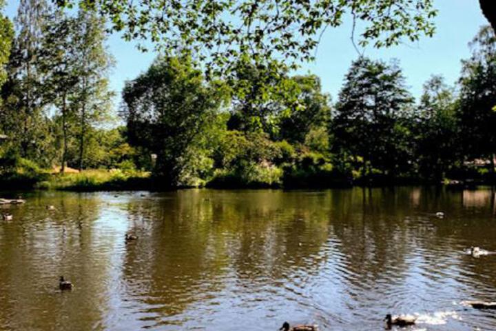 Photo 22