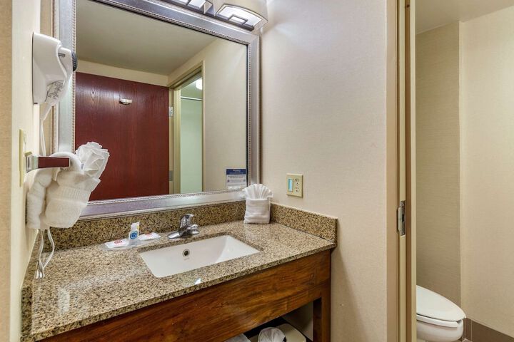 1 King Bed Suite (13 of 29)