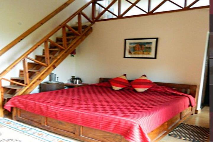 Room 4 of 5