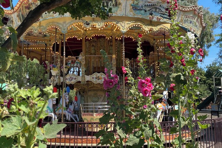 Children's play area - outdoor