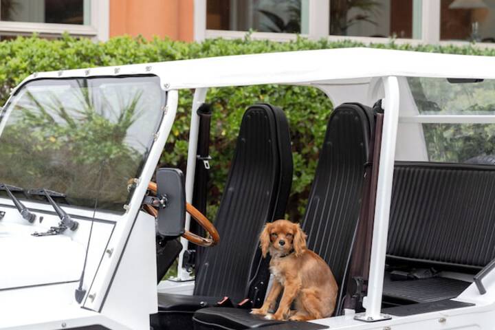 Transportation 159 of 166