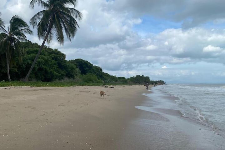 Beach 27 of 50