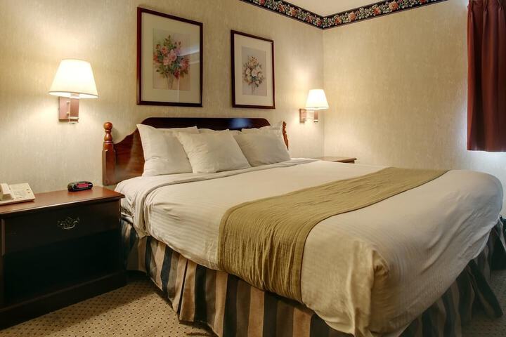 Deluxe Suite King Bed (6 of 9)