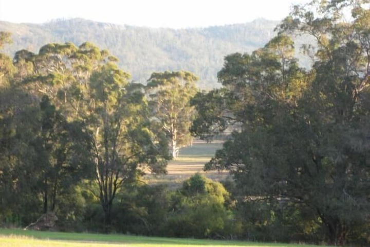 Property Grounds 42 of 56