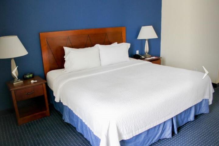 Studio Accessible King Size Bed (15 of 15)