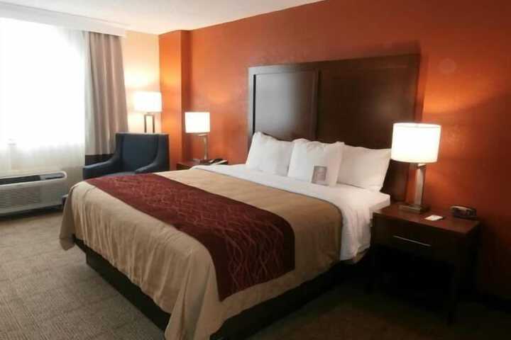 1 King Bed (8 of 12)