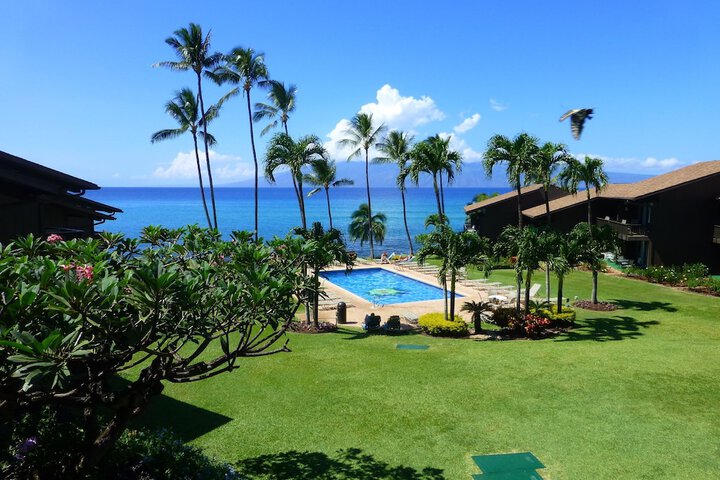 Lower Honoapiilani Condo #218 2 Bathrooms Condo in Lahaina, HI
