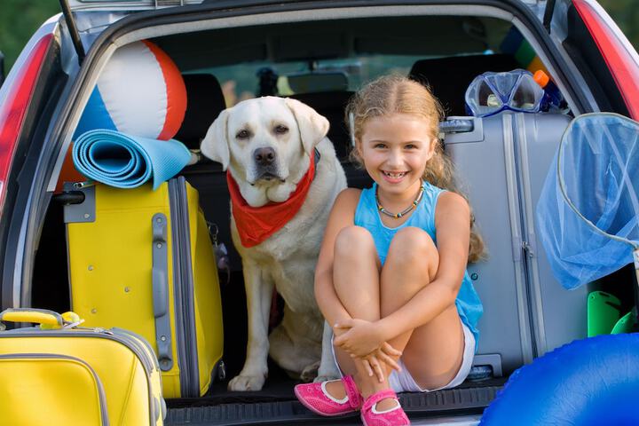Pet-friendly