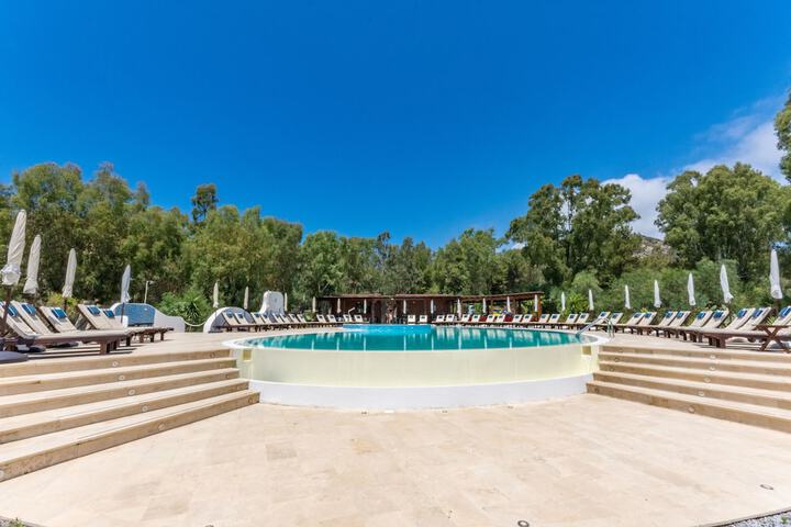 Pool to Cool