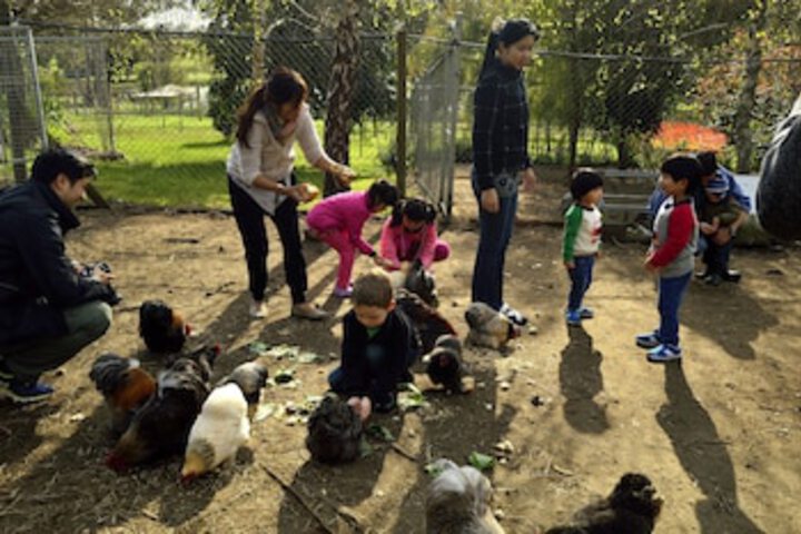 Childrens Activities 58 of 144