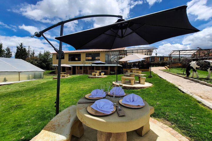 Terrace/Patio 6 of 14