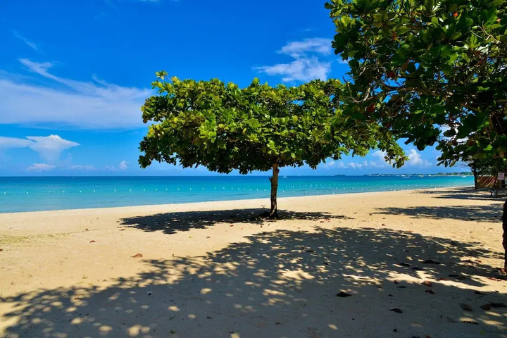 Beach 11 of 16