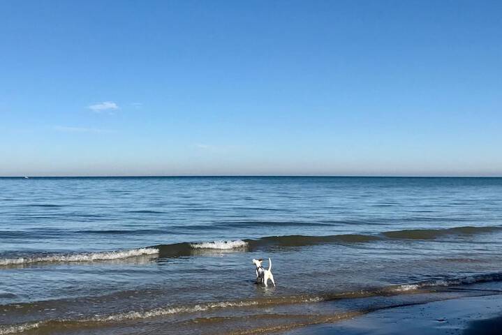 Beach 42 of 52