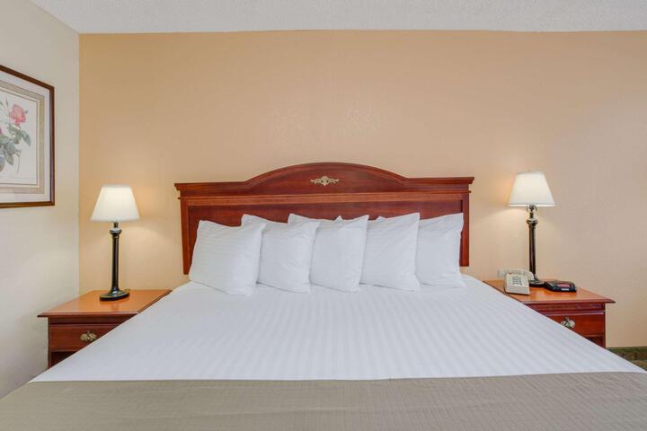 1 King Bed Mountain View (3 of 12)