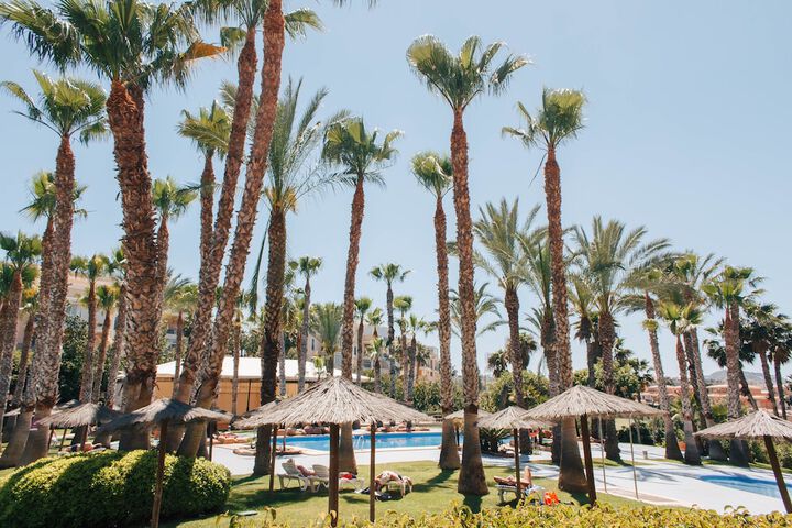 Hotel with Pool